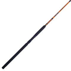 Catfish Special Spinning Rod