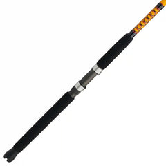 Bigwater 2-Piece Spinning Rod