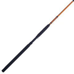 Catfish Special Spinning Rod